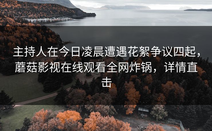 主持人在今日凌晨遭遇花絮争议四起，蘑菇影视在线观看全网炸锅，详情直击  第1张