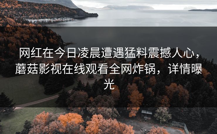 网红在今日凌晨遭遇猛料震撼人心，蘑菇影视在线观看全网炸锅，详情曝光