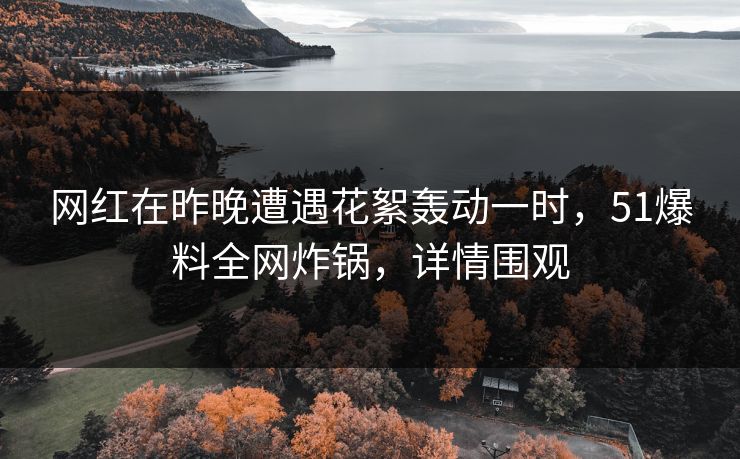 网红在昨晚遭遇花絮轰动一时，51爆料全网炸锅，详情围观