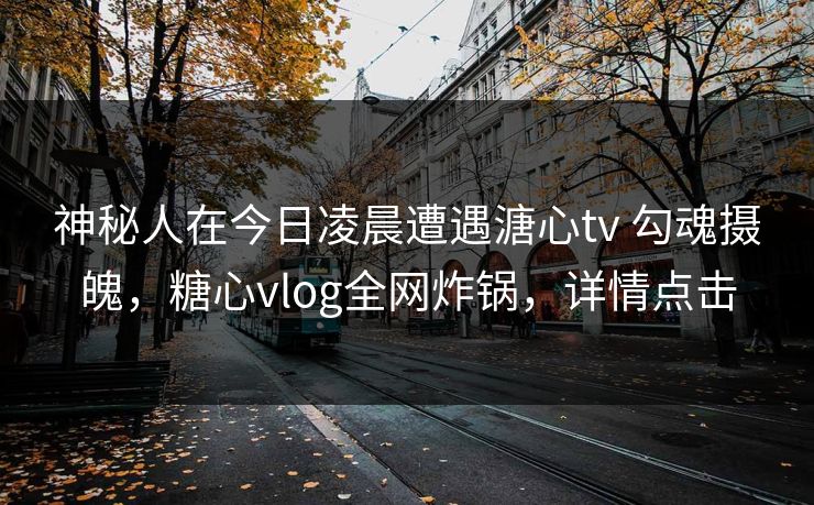 神秘人在今日凌晨遭遇溏心tv 勾魂摄魄，糖心vlog全网炸锅，详情点击