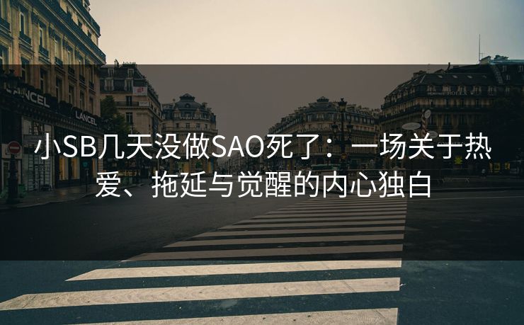 小SB几天没做SAO死了：一场关于热爱、拖延与觉醒的内心独白