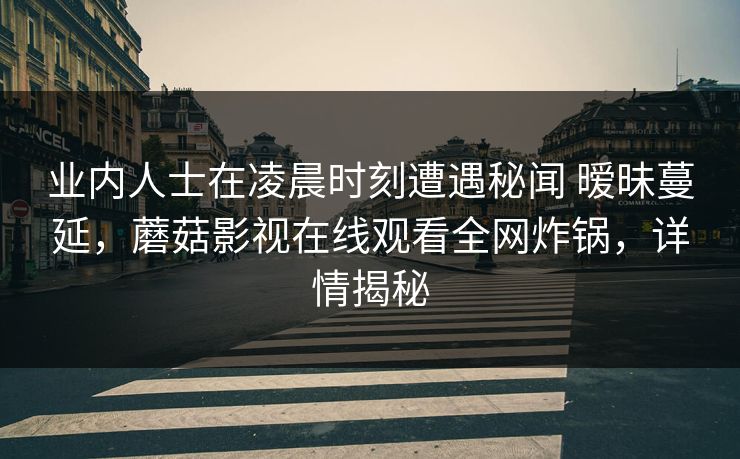 业内人士在凌晨时刻遭遇秘闻 暧昧蔓延，蘑菇影视在线观看全网炸锅，详情揭秘