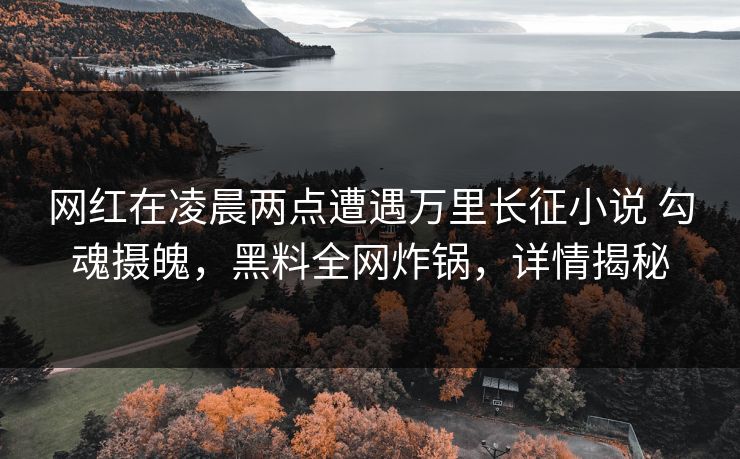 网红在凌晨两点遭遇万里长征小说 勾魂摄魄,黑料全网炸锅,详情揭秘
