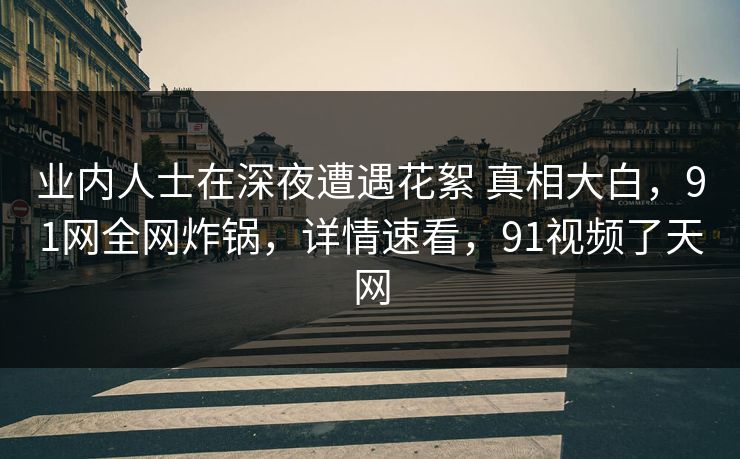 业内人士在深夜遭遇花絮 真相大白，91网全网炸锅，详情速看，91视频了天网